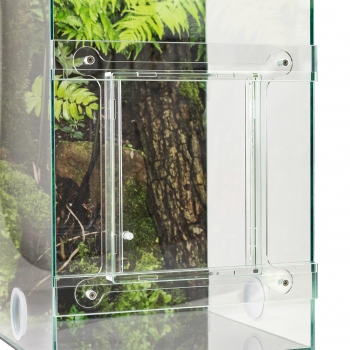 ANTCUBE - Starter kit for weaver ants - big